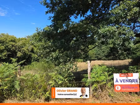 vente terrain 8166 m² à peyrilhac (87510)  29 500 €