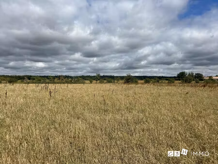 terrain à vendre longages