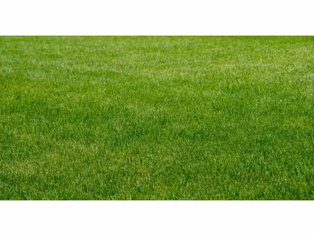 vente terrain à trévières (14710) : à vendre / 1390m² trévières