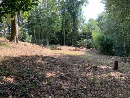 *** plus de visite possible / sous-compromis *** terrain à