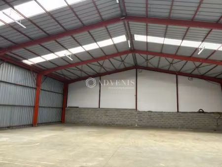 local d'activite a louer