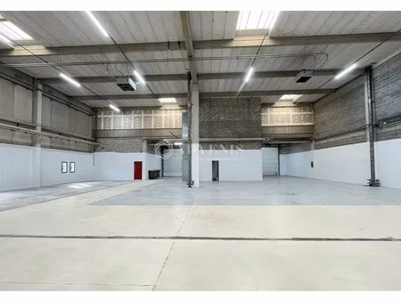 local d'activités a louer