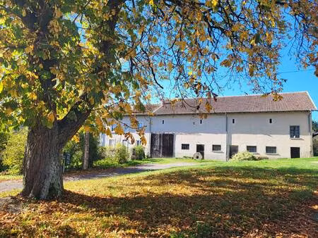 stephane plaza immobilier