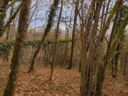 propriété de loisirs à vendre