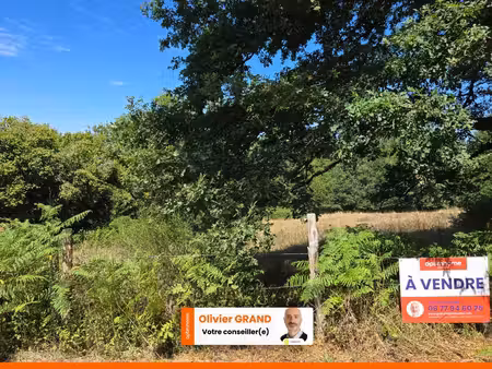 terrain constructible + agricole - environnement campagne