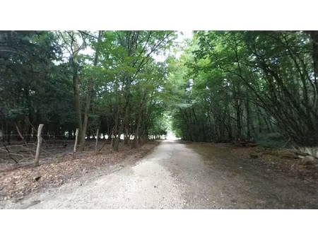 maison 2 ha avec dépendances à 15 minutes de périgueux