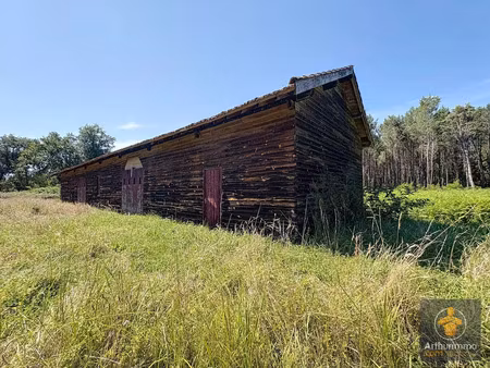 vente ferme 1 pièces 280 m2 à saint-paul-en-born