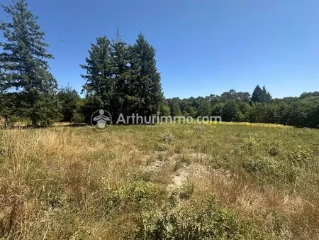 vente terrain 3150 m2 à neuvic