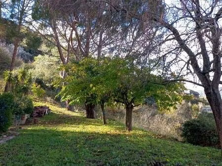 toniolo sacha capifrance