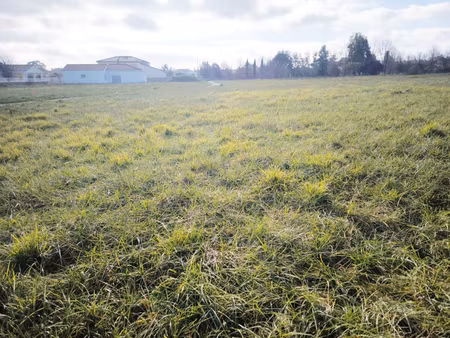 rabastens terrain à bâtir plat de 638 m2 entre l'école et le collège proche du centre vill