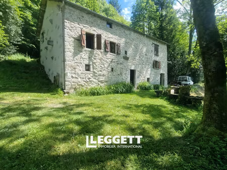 maison 9 pièce(s)  brassac