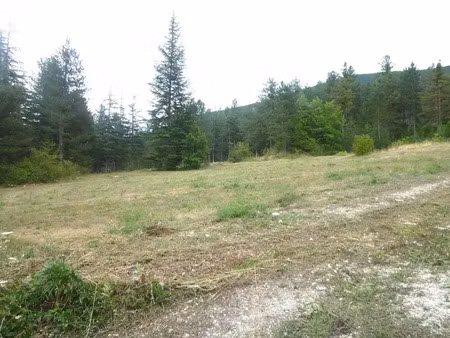 vente terrain à batir 2277 m² à annot (04240)  126 000 €