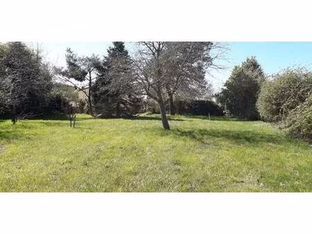 terrain constructible à vendre
