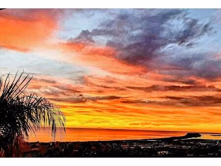 team marseille prado euromed