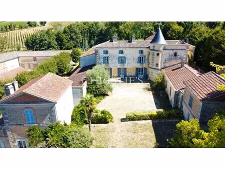 propriété viticole à vendre à saint-ciers-de-canesse