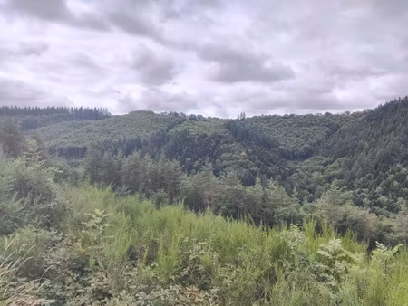 bois avec maison à rénover