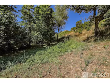 vente terrain 1963 m² à borgo (20290)  260 000 €