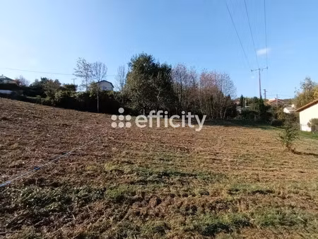 vente terrain 1300 m² à cour-et-buis (38122)  75 000 €