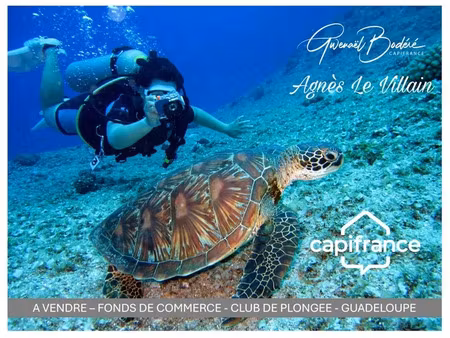 vente locaux professionnels 2 pièces 20 m² à bouillante (97125)  345 000 €