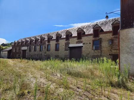 vente locaux professionnels 1500 m² à cormenon (41170)  157 500 €