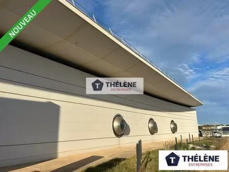 v8675 - montpellier - millenaire -eureka - a vendre - exceptionnel - local activite - bure