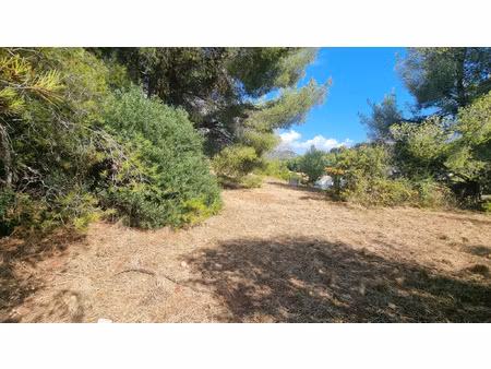 achat terrain 1 772m² carqueiranne 83320