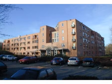 instapklare studio elsene