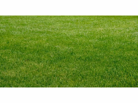 achat terrain 1 390m² trevieres 14710