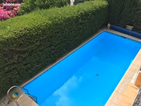 villa piscine st laurent du var