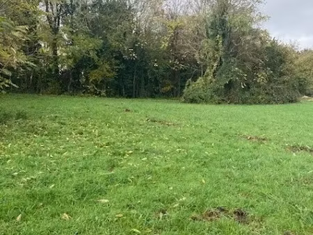 vente terrain 3000 m² à la vendue-mignot (10800)  46 000 €