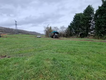 vente terrain 1000 m² à les loges-margueron (10210)  17 000 €