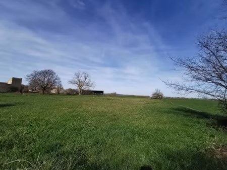 vente terrain 884 m² à escurolles (03110)  22 100 €