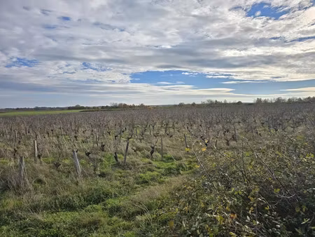 vente terrain 31901 m² à châteaumeillant (18370)  28 719 €