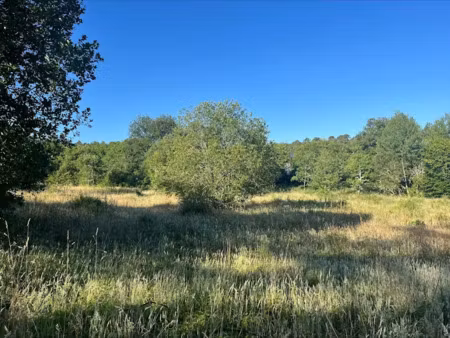 vente terrain 10104 m² à nabirat (24250)  80 000 €