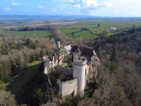 prestigieux château de 3000 m2 en vente - veauce  auvergne-rhône-alpes