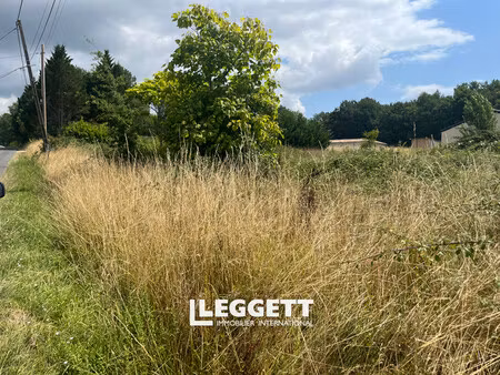 terrain nan pièce(s)  montpeyroux