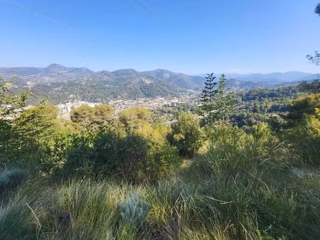 vente terrain 16415 m² à la trinite (06340)  165 000 €