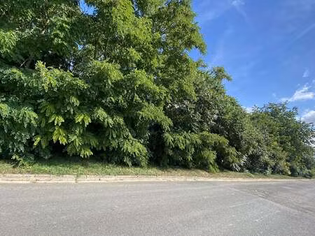 vente terrain à falaise (14700) : à vendre / 3253m² falaise