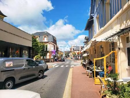 vente bureaux et commerces bord de mer à houlgate (14510) : à vendre bord de mer / 40m² ho