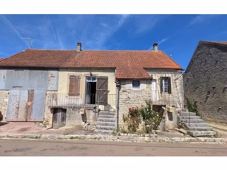 ensemble de 2 maisons à rénover et grange à nitry - dépendances-garage