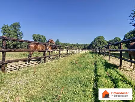 vente maison 5 pièces 199 m² à paimpont (35380)  354 000 €