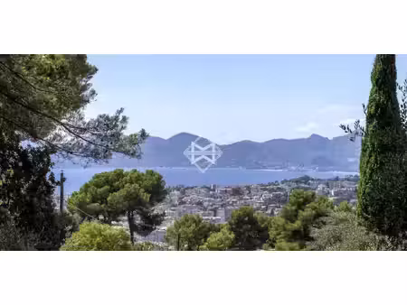 terrain en bord de mer cannes (06)