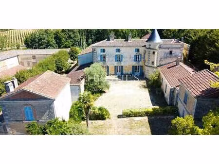 vignoble saint-ciers-de-canesse (33)