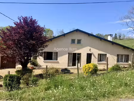 proximite oloron - au calme  jolie maison de plain pied avec grand jardin et vue sur les..