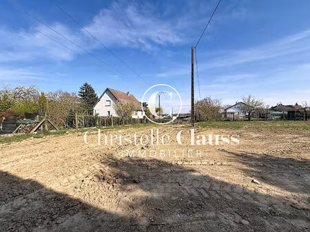 vente terrain 1203 m² reiningue (68950)