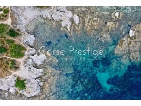 maison de 6 pièces de luxe en vente à saint-florent  france