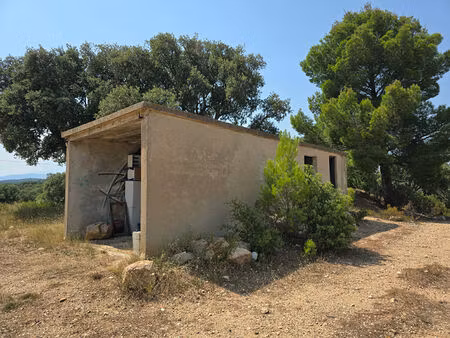 terrain vue sur les montagnes à vives