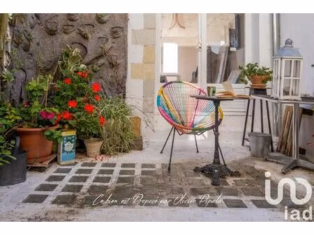 vente maison 9 pièces 197 m² ingrandes-le-fresne-sur-loire (49123)