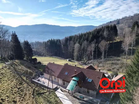 vente ferme 11 pièces 750 m² à saulxures-sur-moselotte (88290)  660 000 €