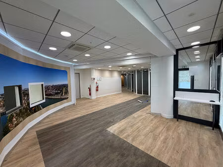 local professionnel avec bureaux - 89100 paron